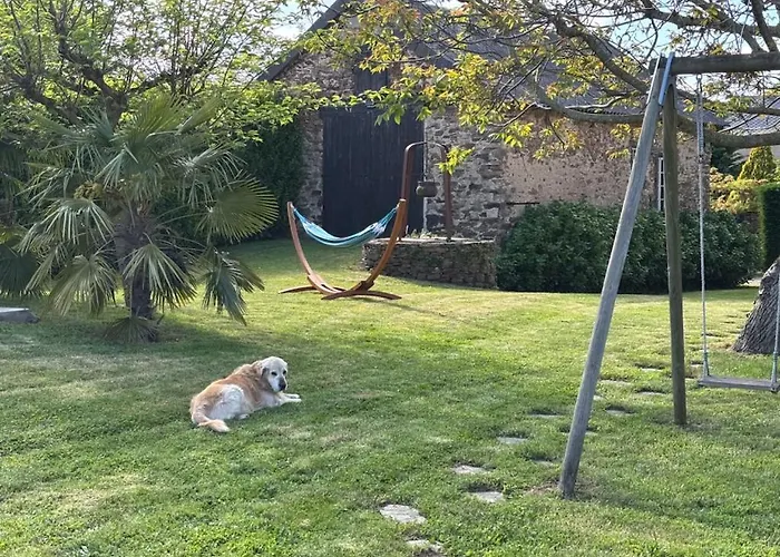 Aux 12 Instants, Imagine