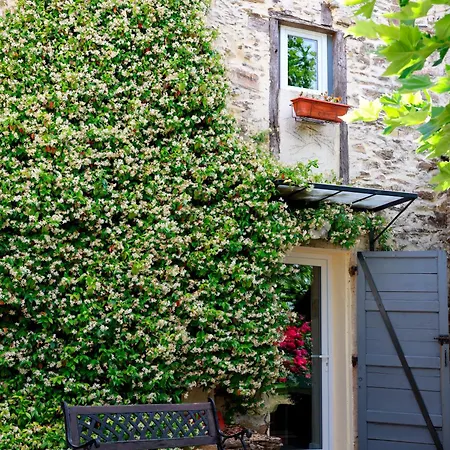Apartman Aux 12 Instants, Imagine Ledergues