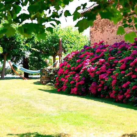 Apartman Aux 12 Instants, Imagine